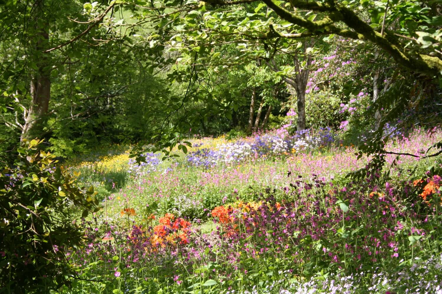 Midsummer Meadow Bed Dartmoor